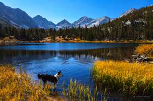 Heart Lake-6244 Heart Lake-6244